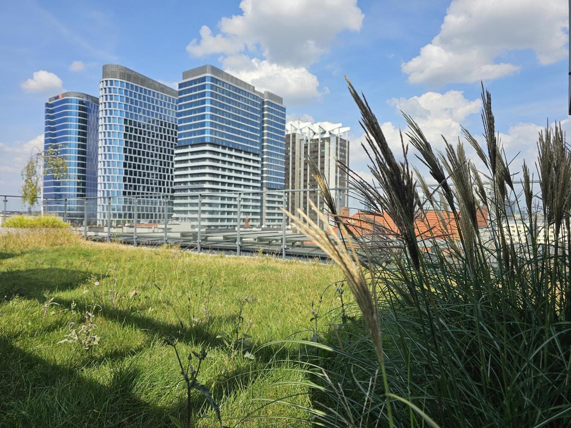 Urban Apartments Premium, Opolska 10 No 77B, Free Garage, Self Check-In Κατοβίτσε Εξωτερικό φωτογραφία